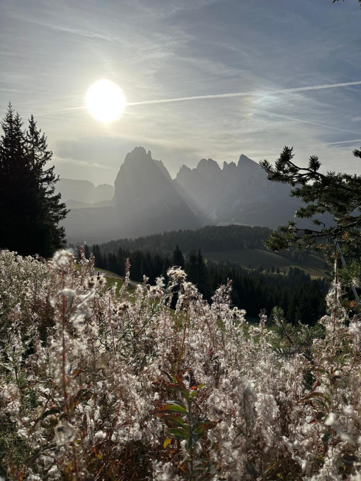 Garni Villa Erna Selva di Val Gardena Exterior foto