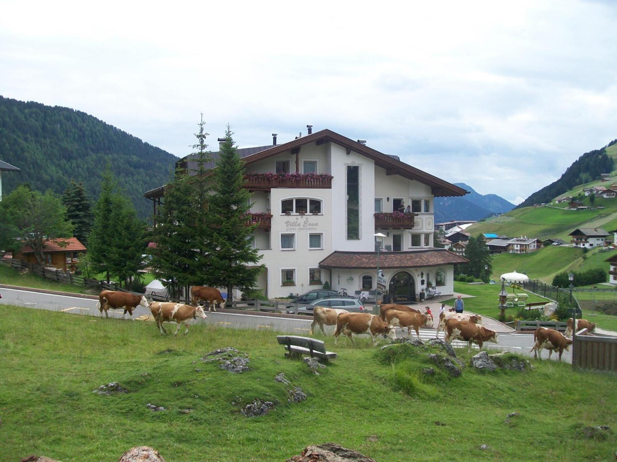 Garni Villa Erna Selva di Val Gardena Exterior foto